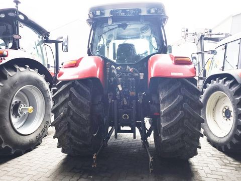 Steyr Profi 6135 Profimodell