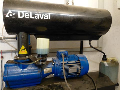 De Laval 2x6 Fischgrät