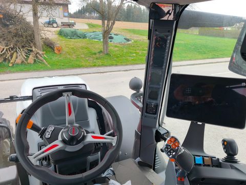 Steyr 4145 Profi (Stage V)