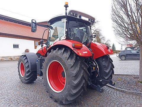 Steyr 6150 Profi CVT (Stage V)