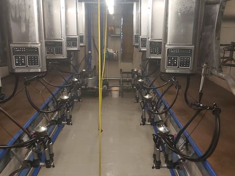 Lavalovo stojalo za molžo FMG D-30