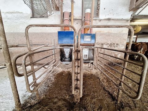 De Laval FMG D-30 Melkstand