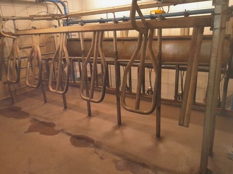 De Laval Side by Side Melkstand
