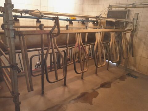 De Laval Side by Side Melkstand