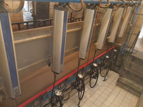 De Laval Side by Side Melkstand