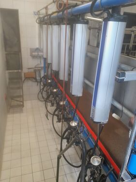 De Laval Side by Side Melkstand