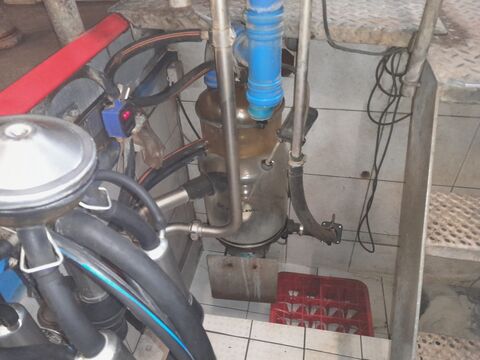 De Laval Side by Side Melkstand