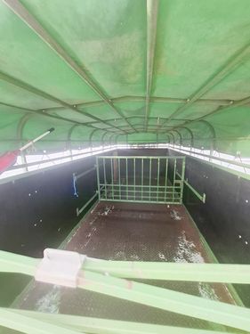 Pronar  T046/1 Schweineanhänger