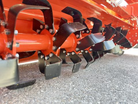 Maschio C 250 Bodenfräse 