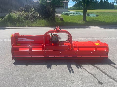 Maschio Bisonte 300 Mulcher