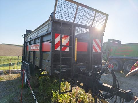 Bergmann MX TSW 1200 Miststreuer