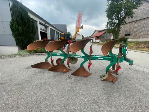 Regent 4- Schar Pflug