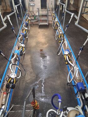 Alfa Laval  Doppel 4 Fischgräten Melkstand