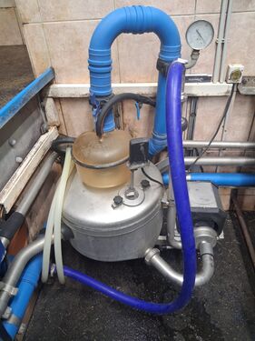 Alfa Laval  Doppel 4 Fischgräten Melkstand