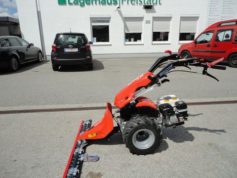 Reform CM 817
