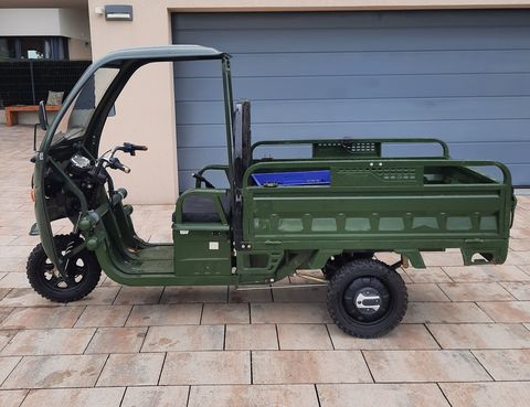 Sonstige Lastenrad Tuk-Tuk