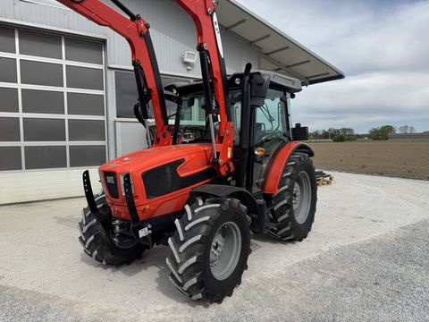 Same Dorado Natural 80