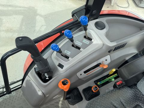 Same Dorado Natural 80