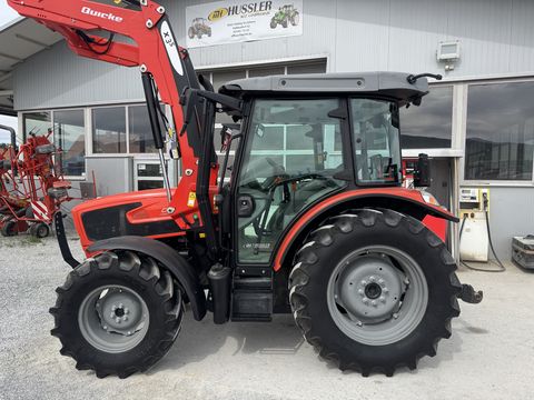 Same Dorado Natural 80