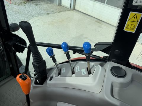 Same Dorado Natural 80