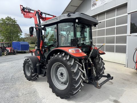 Same Dorado Natural 80