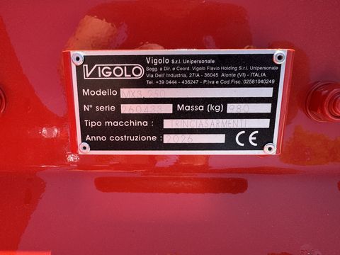 Vigolo MX3 250
