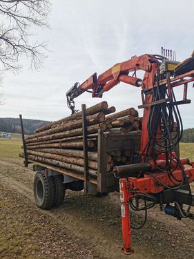 Sonstige Eigenbau Rückewagen mit Palfinger Kran