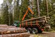 MTM Forest 13T Rückewagen mit MTM 8600 Forstkran