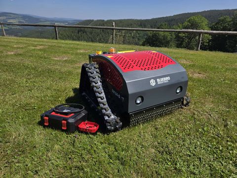 Bluebird FM 24-65, Mähraupe mit 65 cm Arbeitsbreite