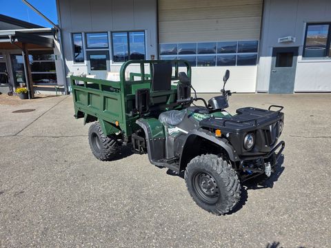Farmhorse Rider EQ 8000 - Elektro Quad mit Ladefläche