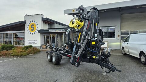 Palms H10D mit 5.87Z
