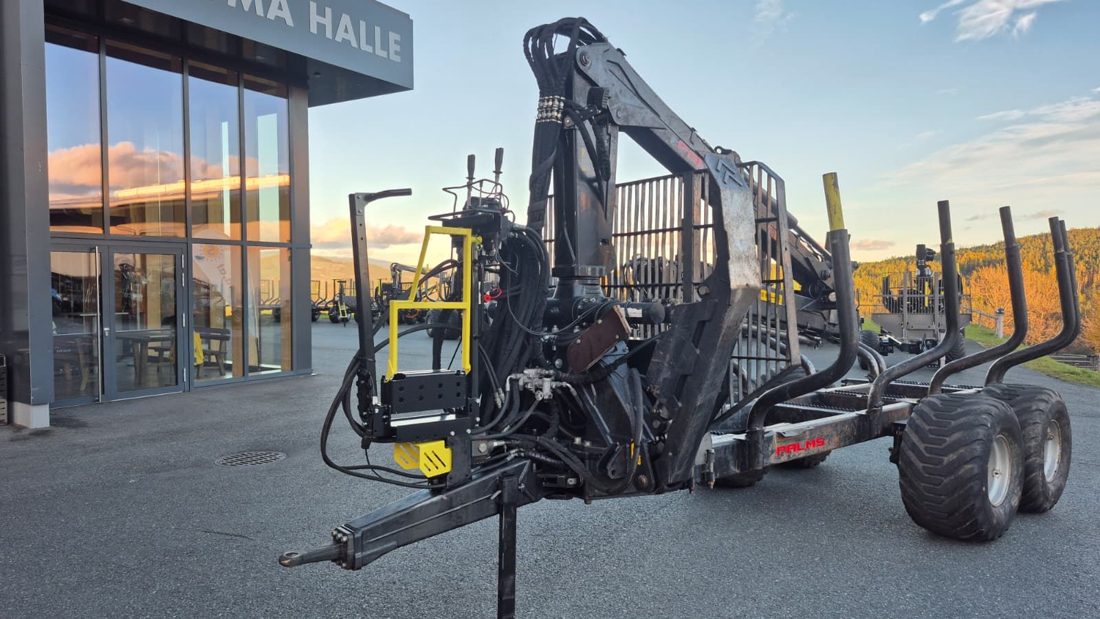 Palms 12D mit 5.85 2