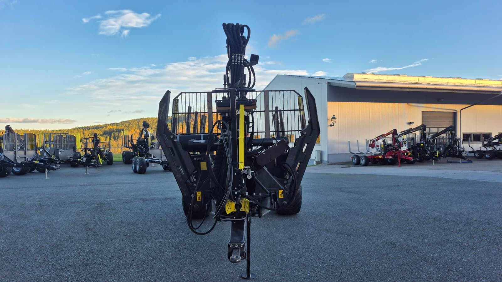 Palms 12D mit 5.85 3