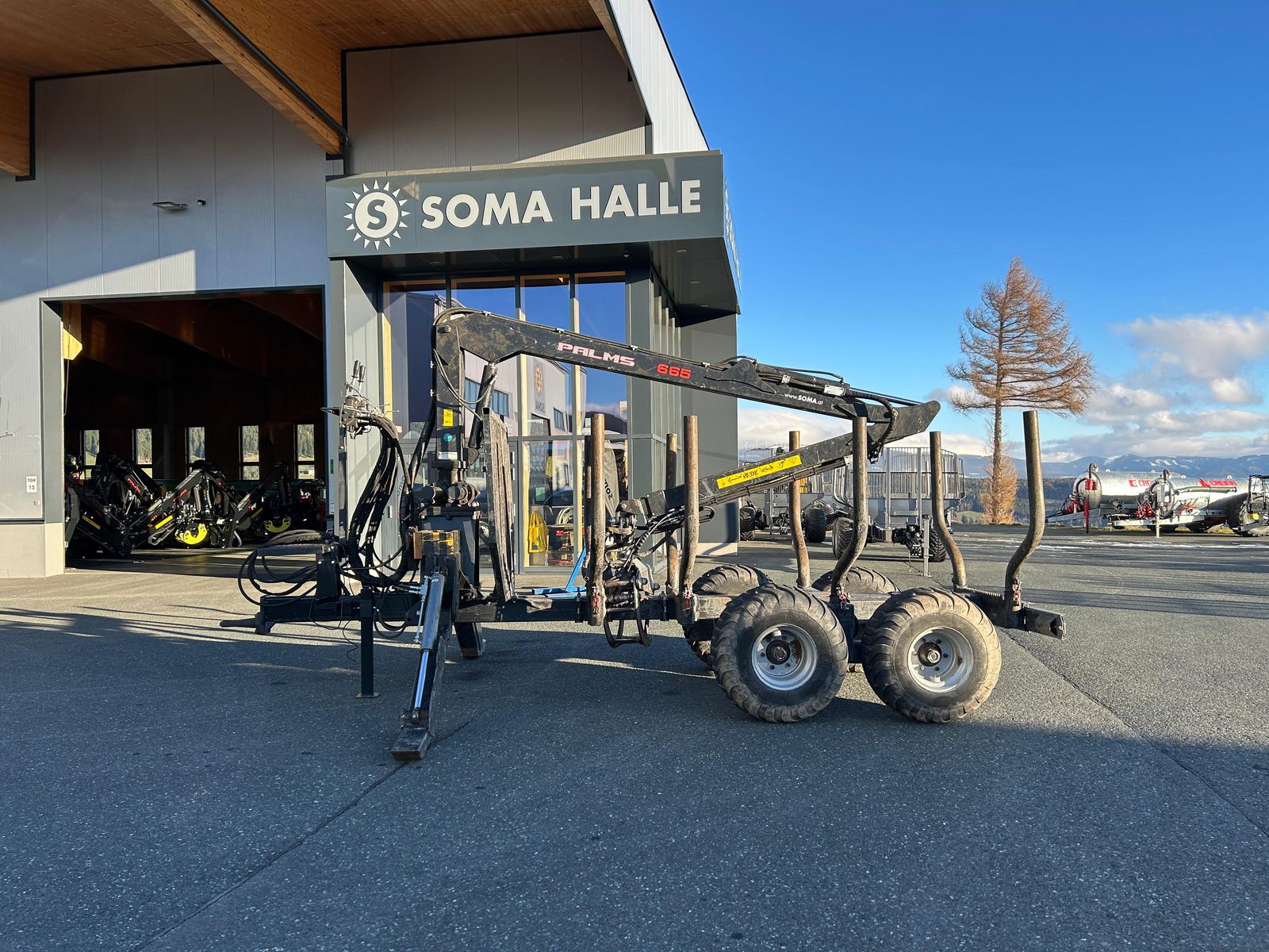 Palms H81 mit K665 1