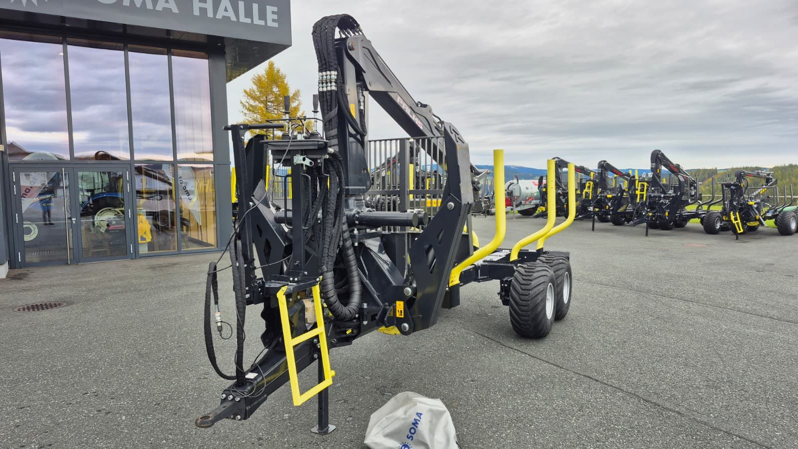 Palms 9SG mit 5.72 2