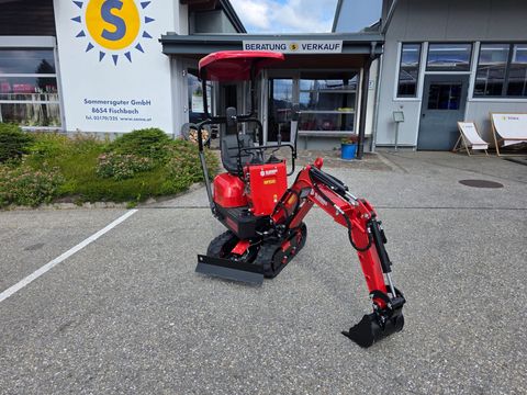 Sonstige Bluebird MEX 600