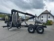 Palms H10D mit K675