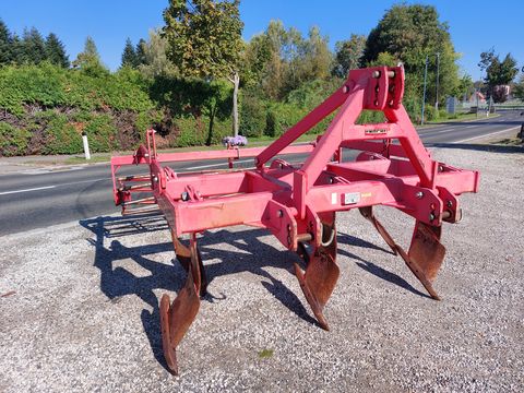 Knoche Bison BS - 6 25