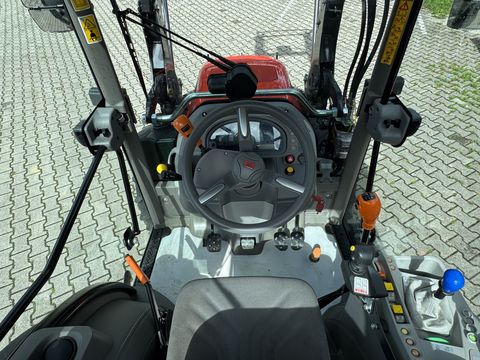 Same Frutteto 90 (Stage V)
