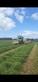 Krone Big M 420