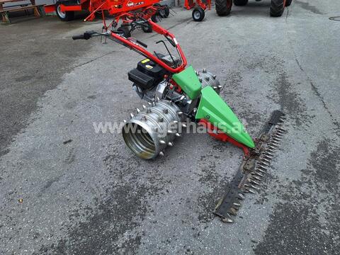 3290-137499acedfdb4e0cd45d390dd6fea6c-5707952