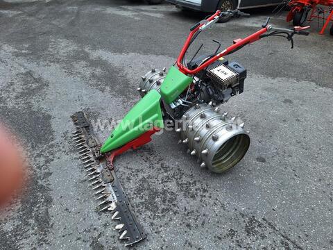 3290-137499acedfdb4e0cd45d390dd6fea6c-5707952