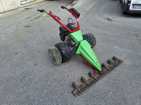 Rapid Swiss