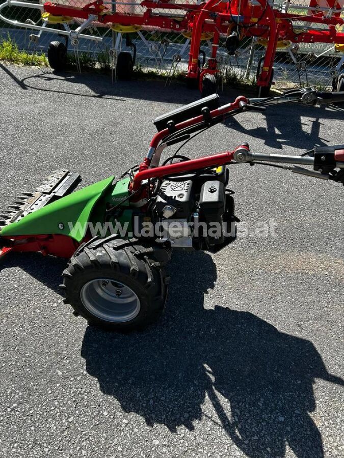 Rapid REX 2
