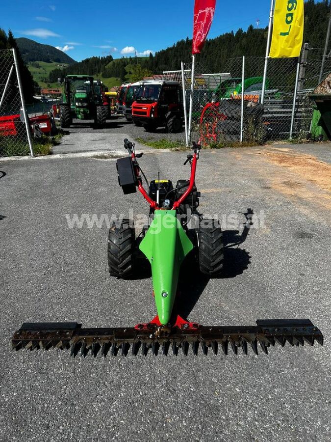 Rapid REX 3