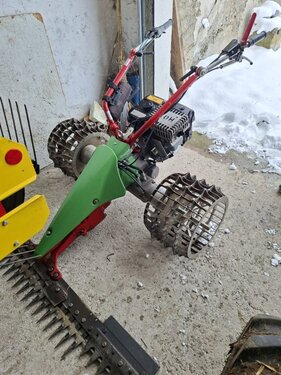 Rapid Rex