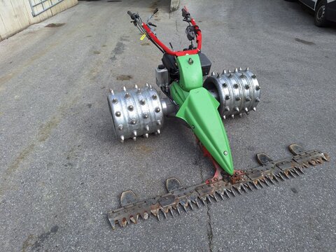 Rapid Monta 14 PS