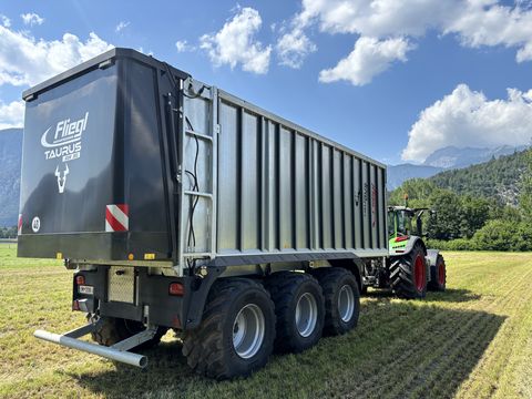Fliegl ASW 381 FOX Taurus