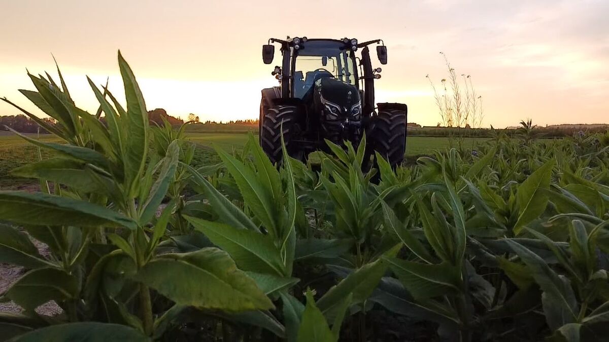 Valtra G135 SmartTouch CVT 1