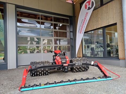 Gecko de Köpl (21981)